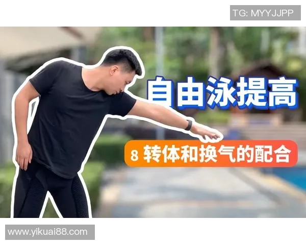 提升自由泳技巧与耐力训练的全面方案与训练方法解析