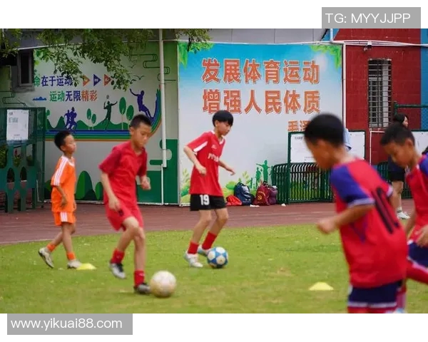 竞技体育：以提高身体素质和竞技水平为核心目标的全面发展路径探索