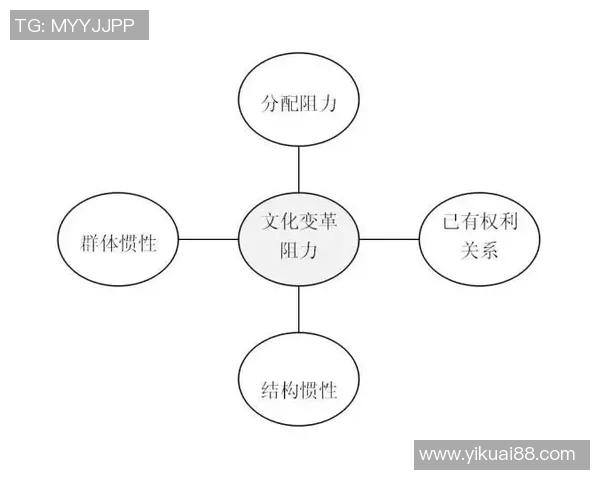 上海排球队的力量变革引发热议新策略与团队协作的深度分析