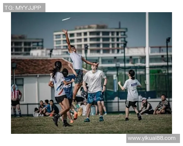 对话杨强：探索飞盘运动的魅力与挑战之旅