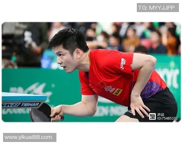 北京乒乓球队快攻革新之路：技术突破与战术演变的深度解析