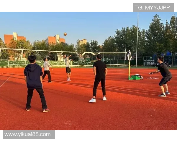 专访陈伟:深入探讨排球背后的成功秘诀与训练哲学